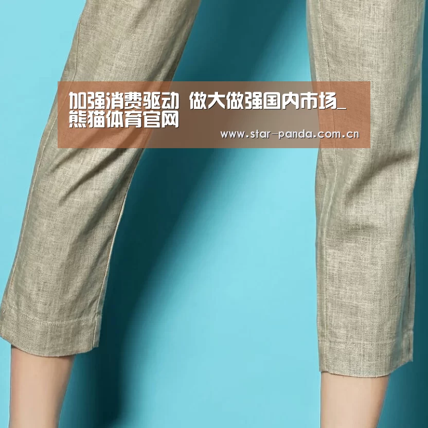 加强消费驱动 做大做强国内市场_熊猫体育官网(图3) 熊猫体育官网