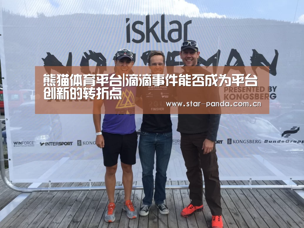 熊猫体育平台|滴滴事件能否成为平台创新的转折点(图3) 熊猫体育平台